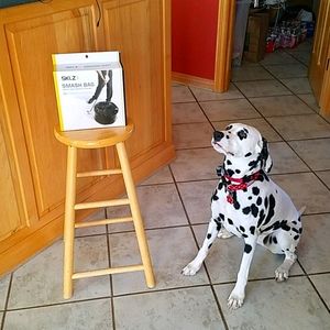 Smash bag, impact strength trainer